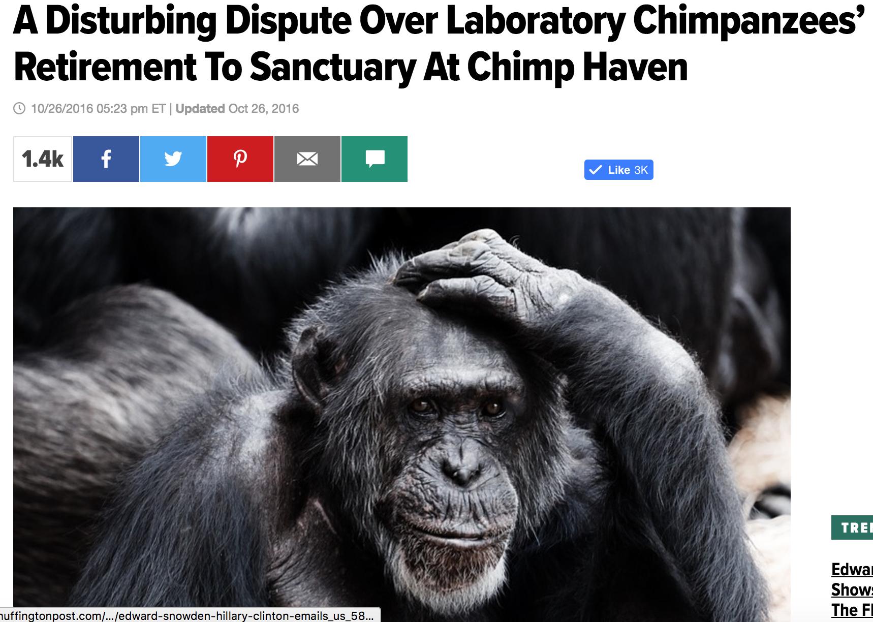 huffpo-copy-3