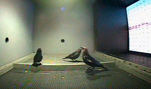 image001