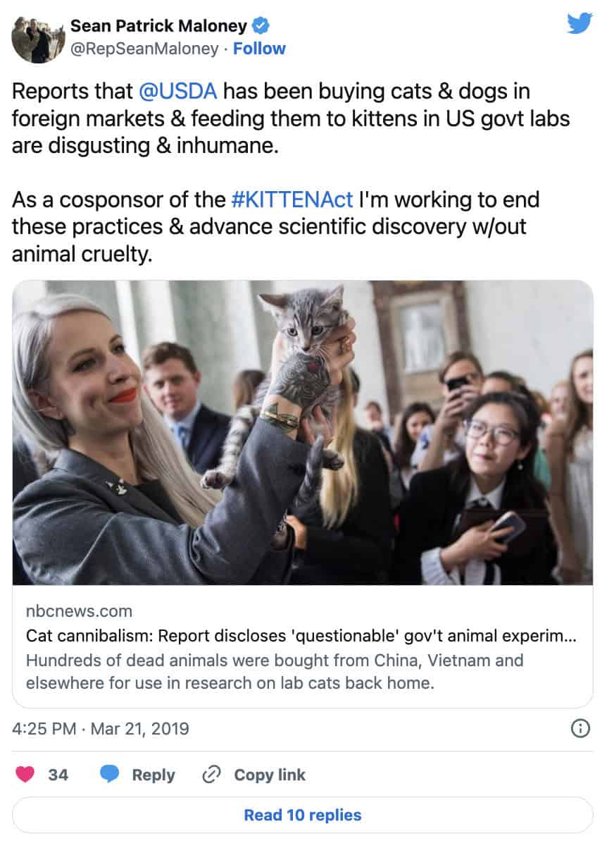USDA kitten cannibalism experiments