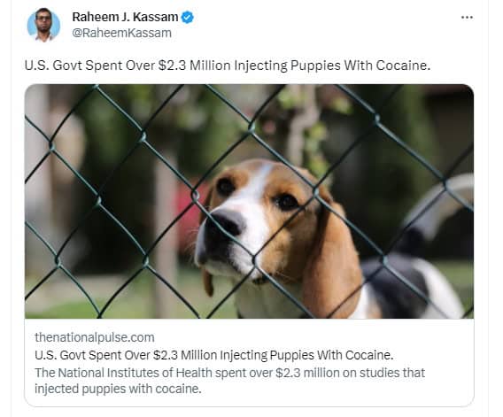 Coke Hounds