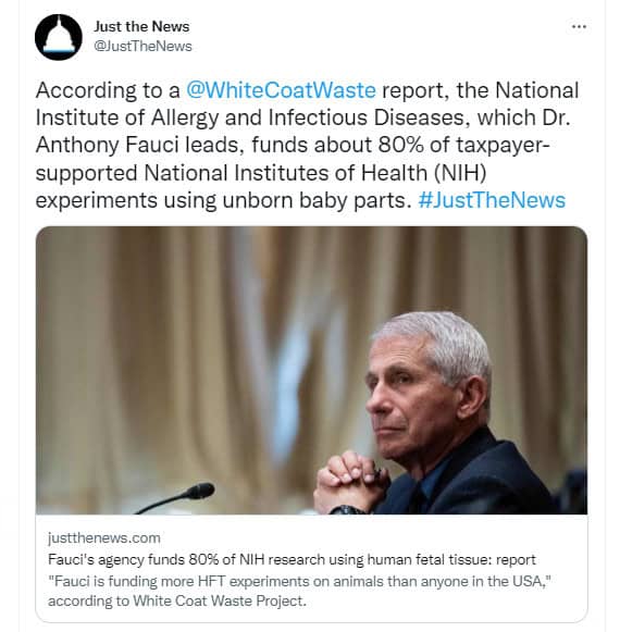 Human Fetal Tissue