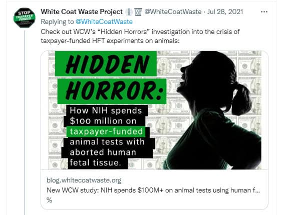 Human Fetal Tissue