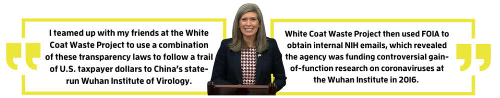 Senator Joni Ernst Watchdog Act