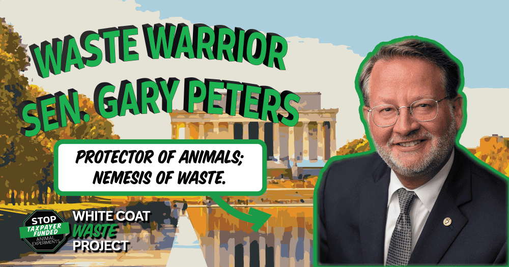 Waste Warrior