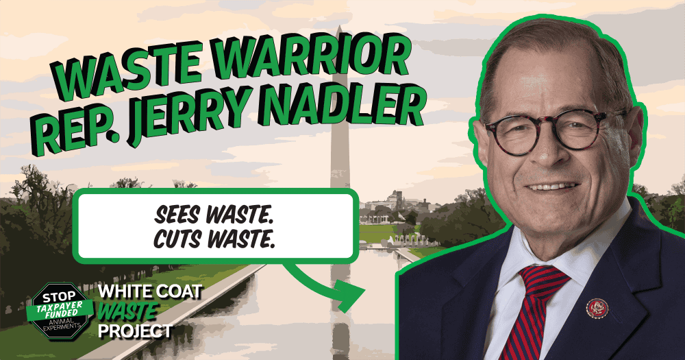 Waste Warrior