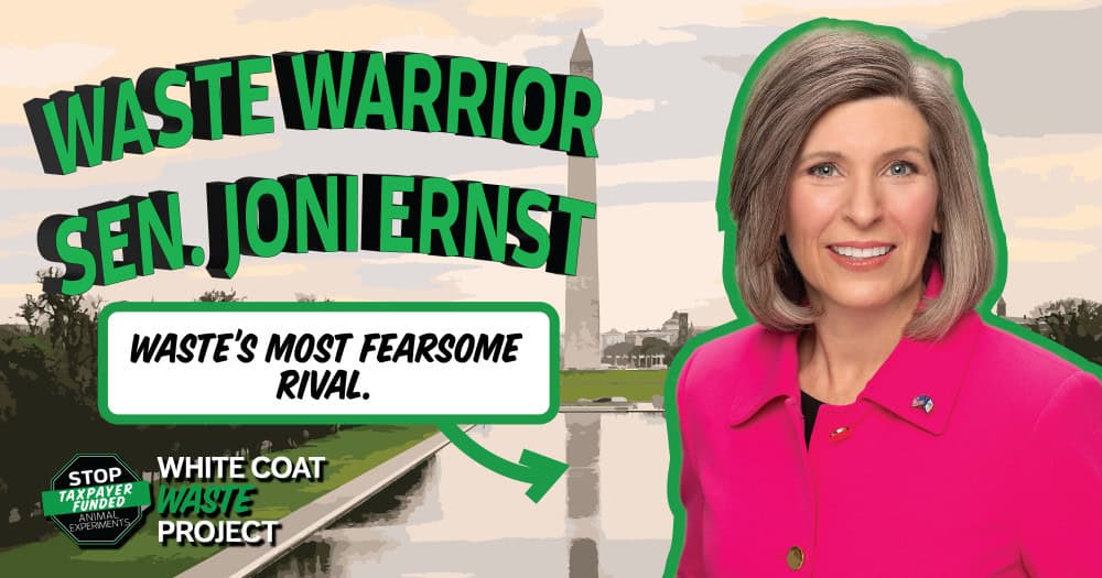 Waste Warrior
