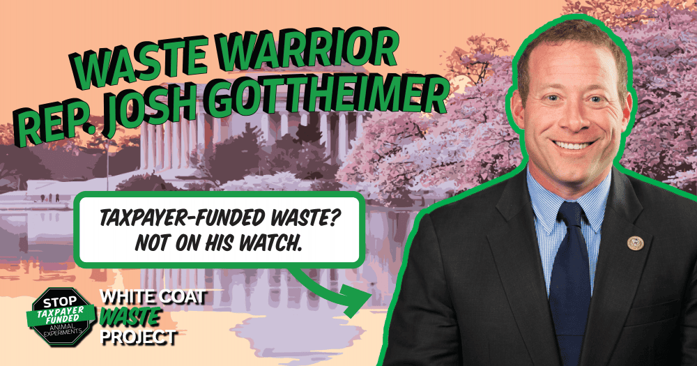 Waste Warrior