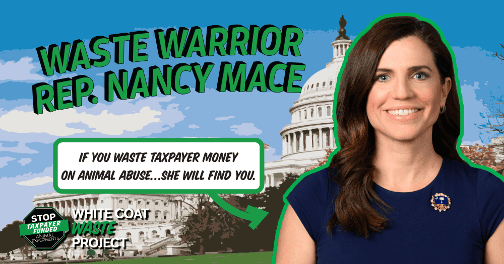 Waste Warrior