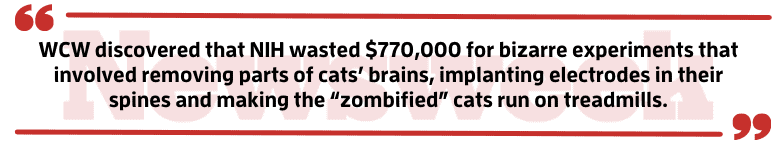 Newsweek Op-Ed