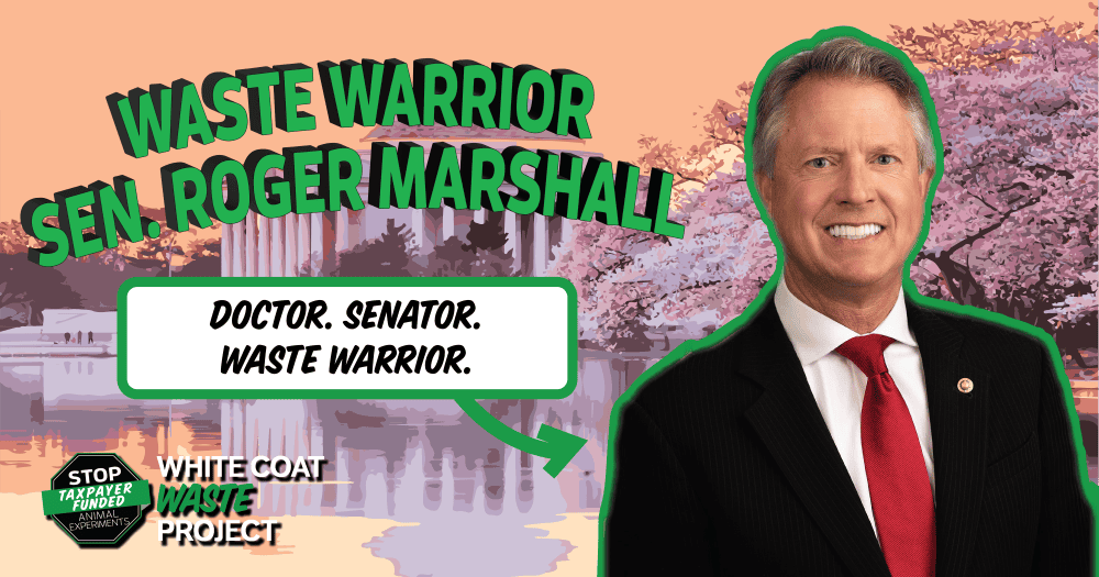 Waste Warrior