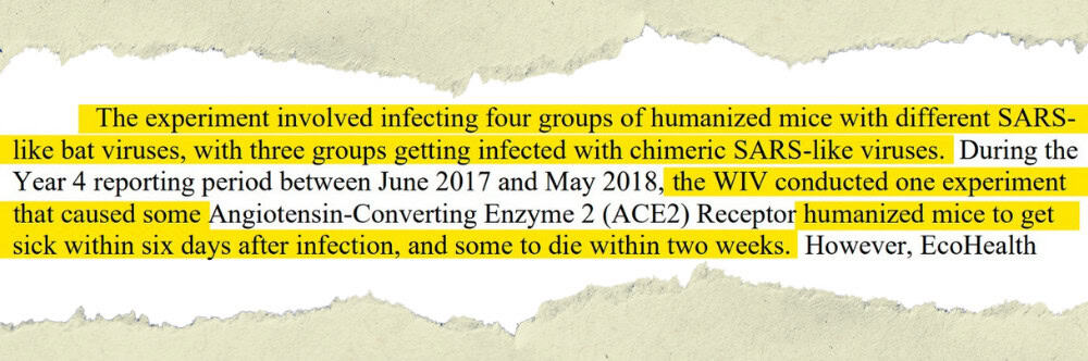 Mice Death Cover-Up