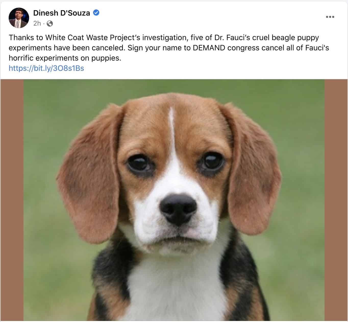 #BeagleGate Victory Media