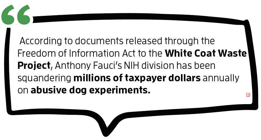 Defund Government Dog Abuse