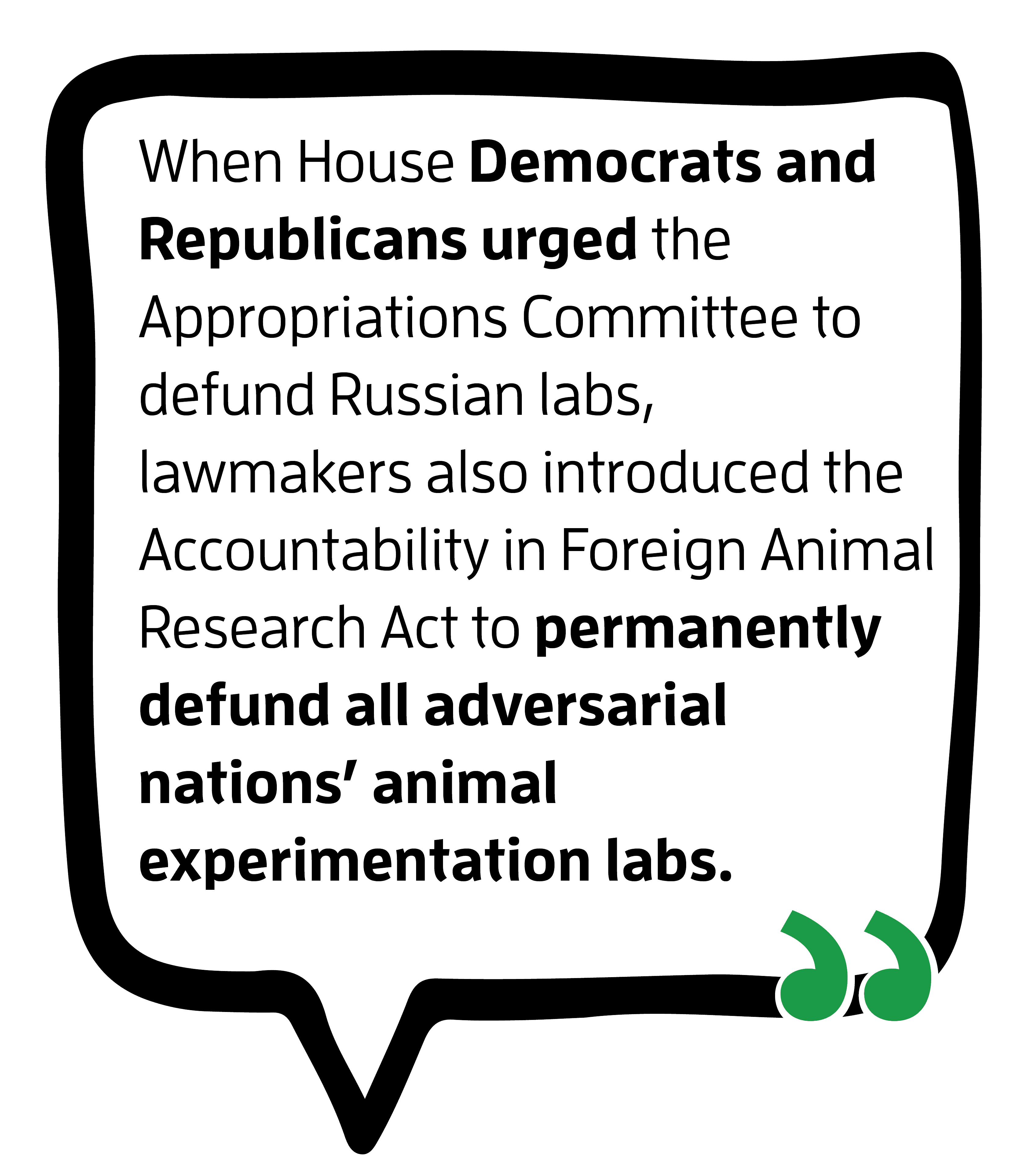 Foreign Animal Abuse