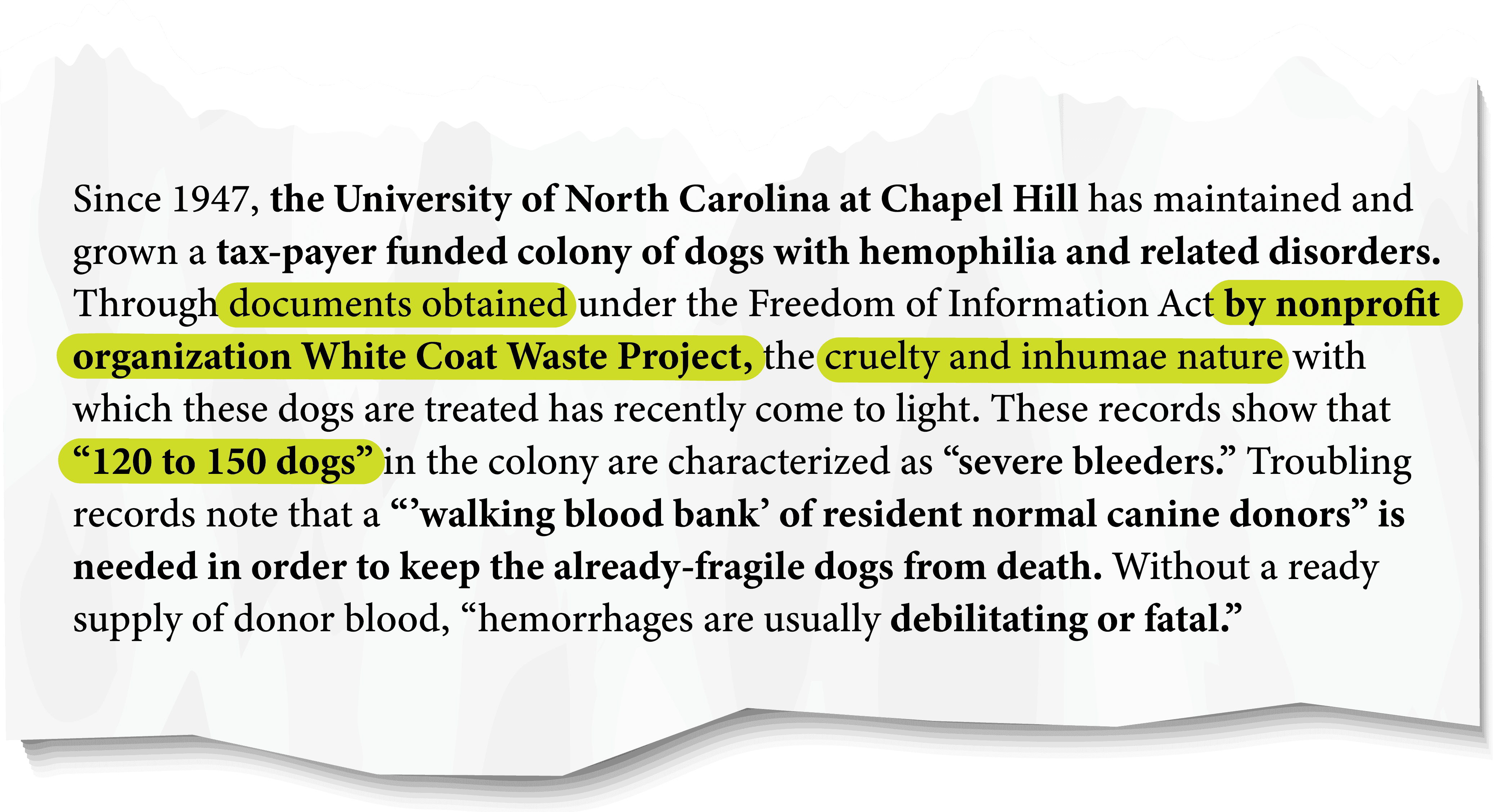 Bleeding Beagle Colony