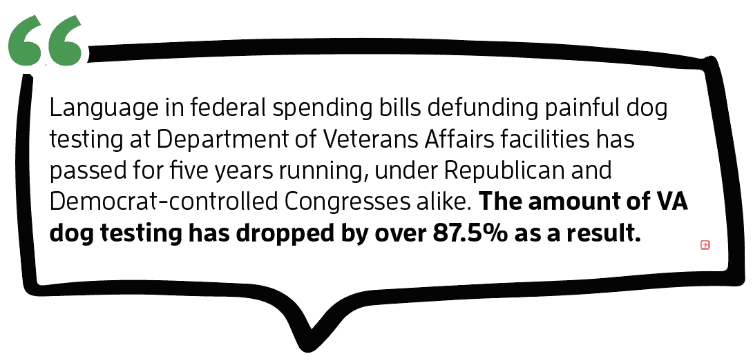 Defund Government Dog Abuse