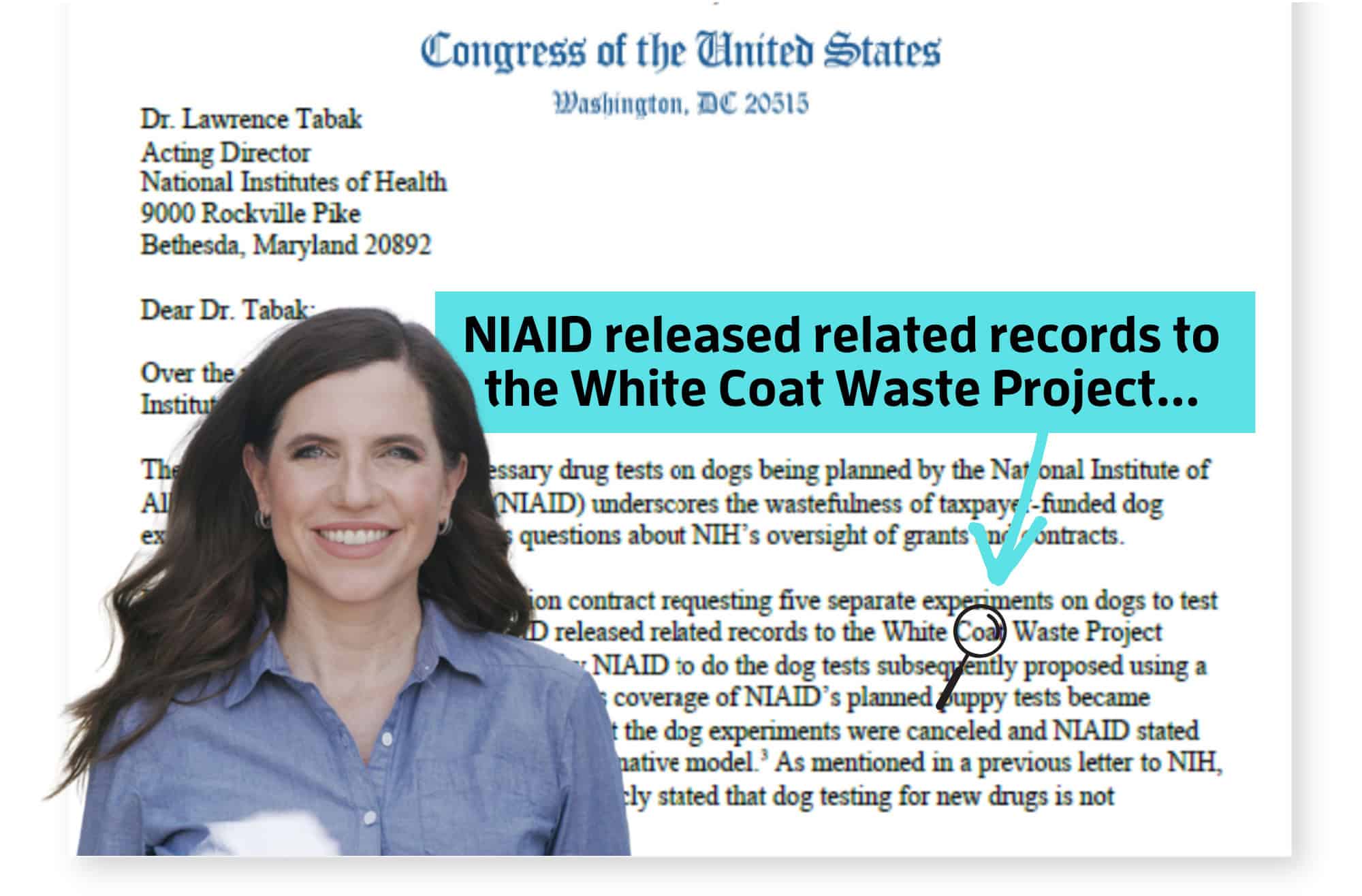 Beaglegate Factcheck Citing #BeagleGate, Rep. Mace Leads Bipartisan Demand for NIH Dog ...