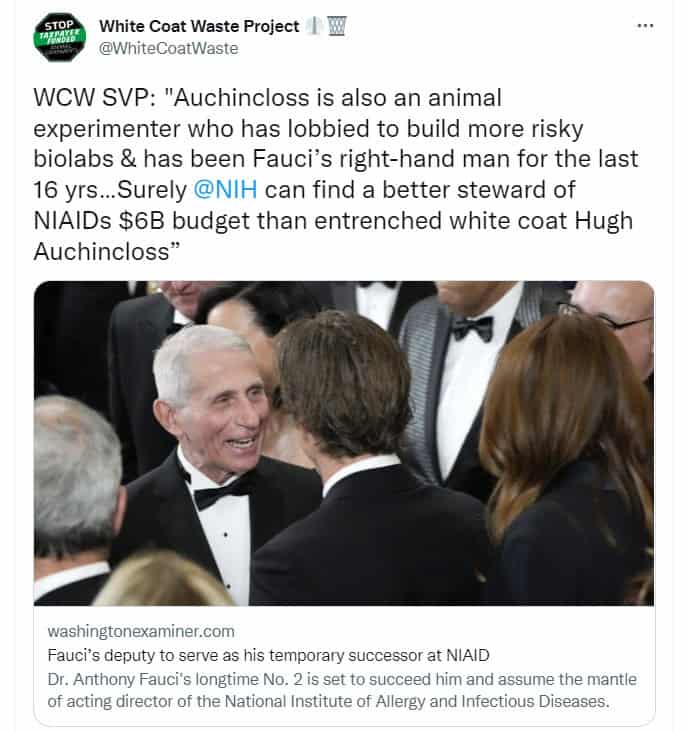 Fauci's Replacement Auchincloss
