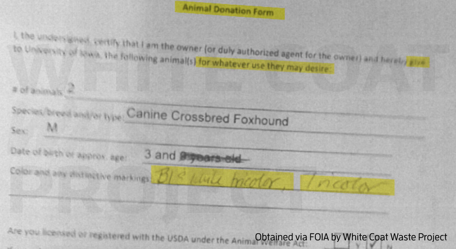 NIAID Torturing abandoned pets