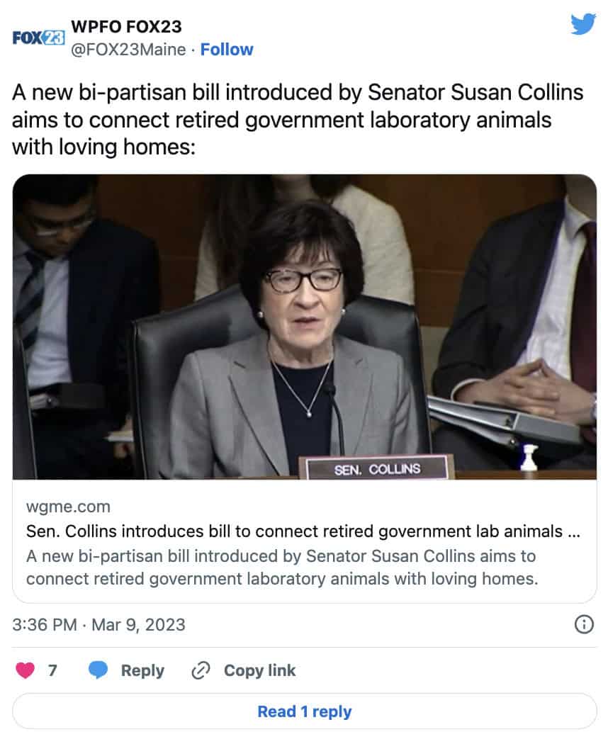 Violet's Law Goes Viral