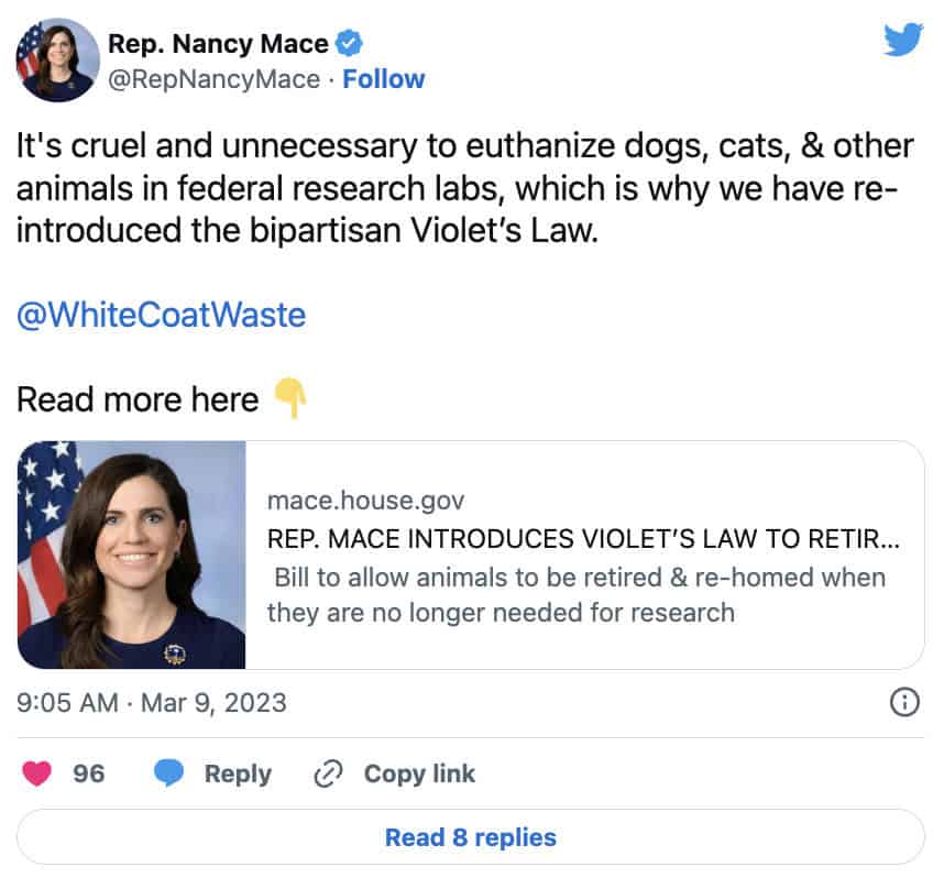 Violet's Law Goes Viral