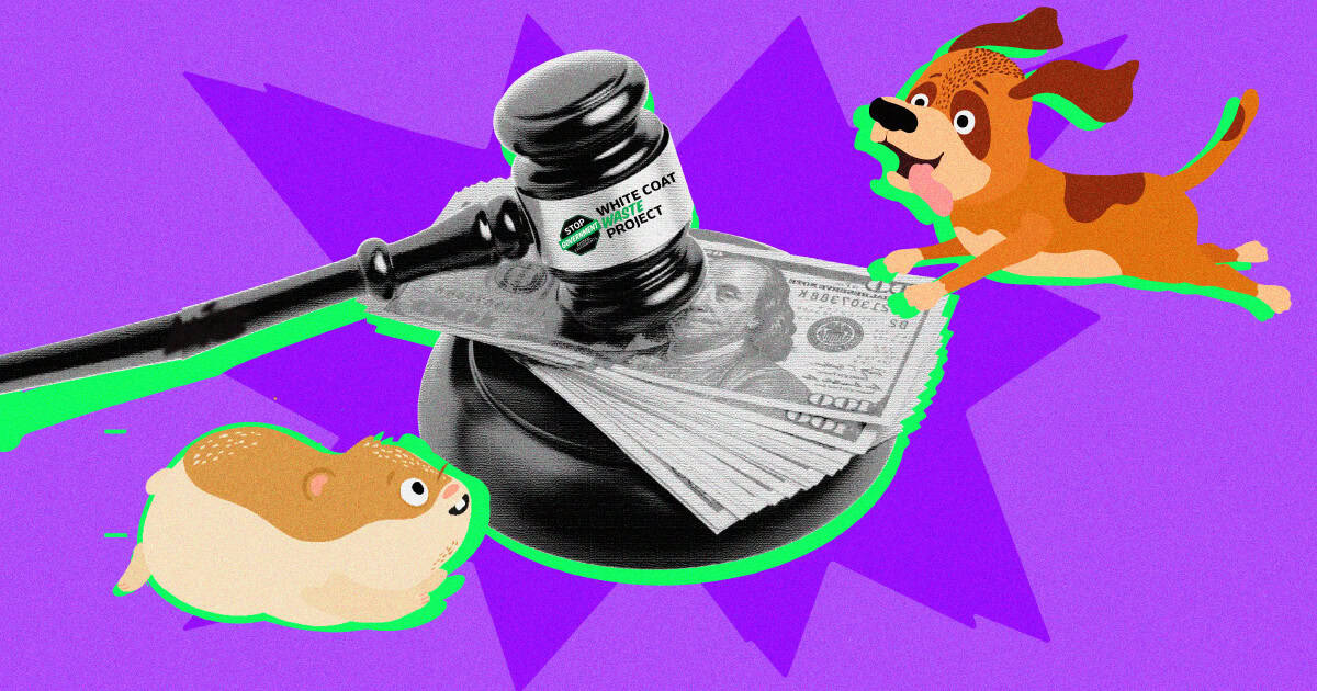 Beaglegate Factcheck FREE SPEECH LAWSUIT: WCW Sues DC Metro over Censored Ads on BeagleGate ...