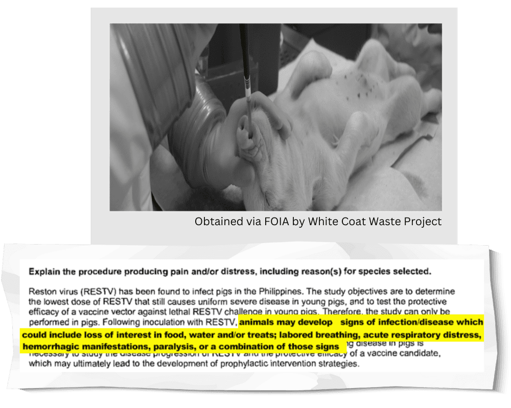 NIH Max Pain Lawsuit