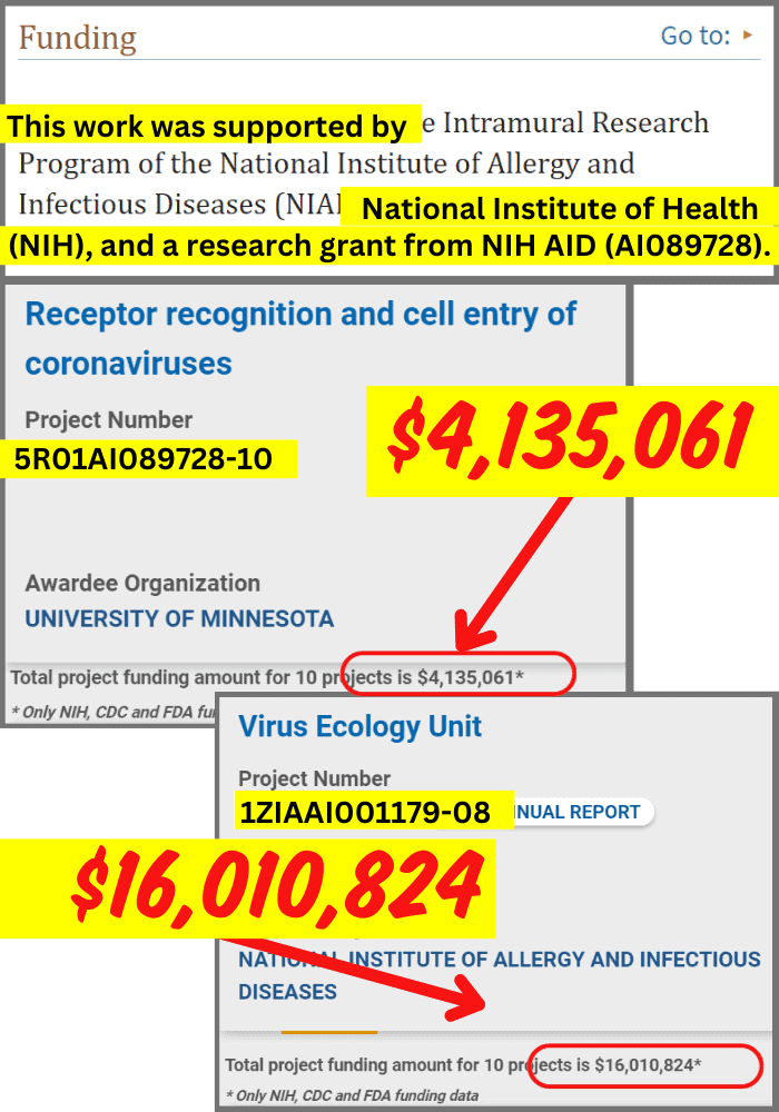 Zoo sent bats to NIH