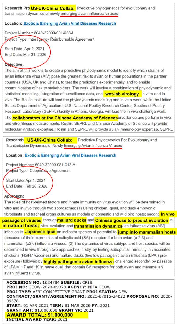 USDA Wuhan Bird Flu