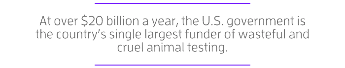 Pass Violet's Law Farm Bill