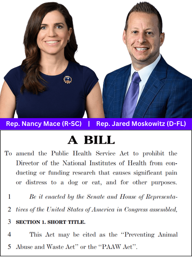 WCW-backed PAAW Act