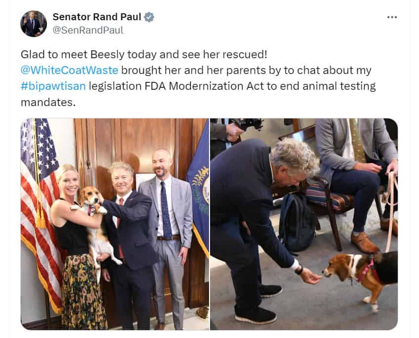 DOD Cruel Beagle Testing