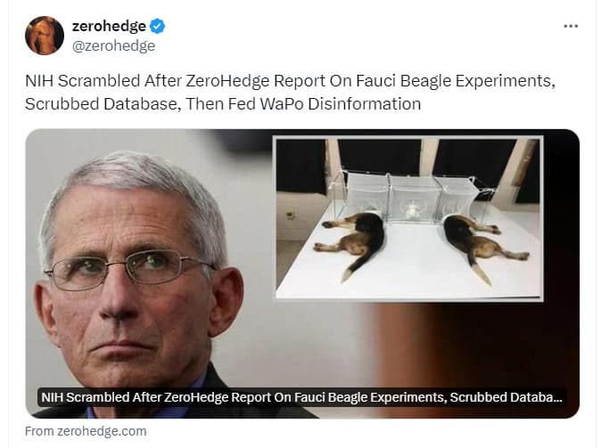 Washington Post admits disinformation