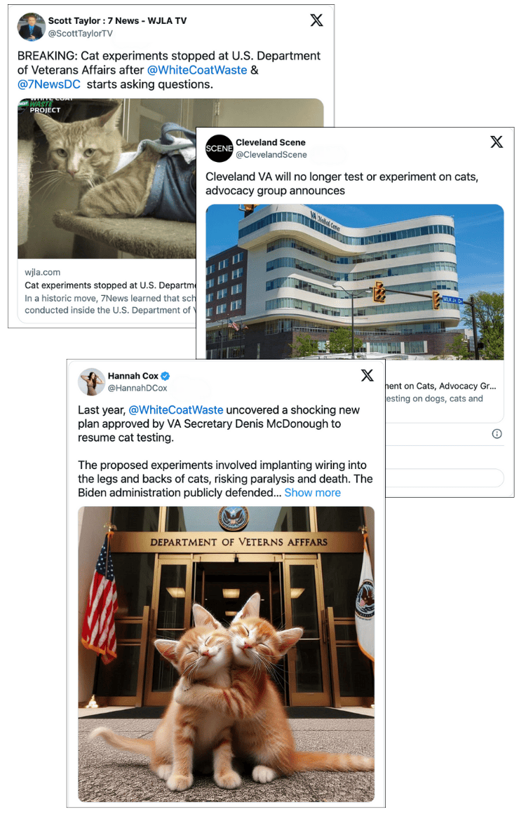 VA Cancels Cat Testing
