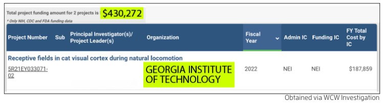 GA Tech Cat Torture
