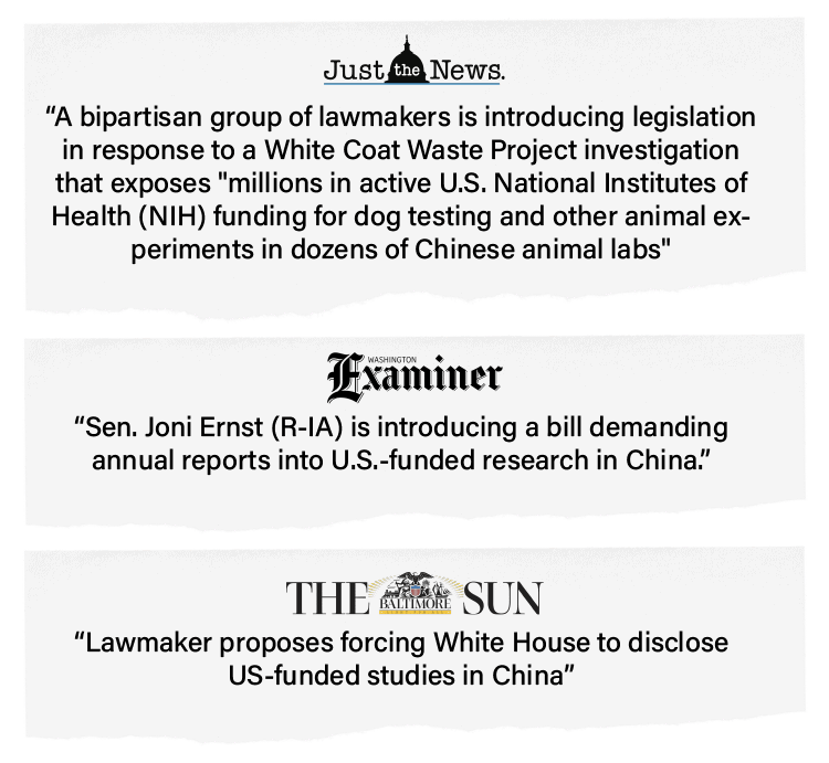 Chinese Dog Lab Exposé