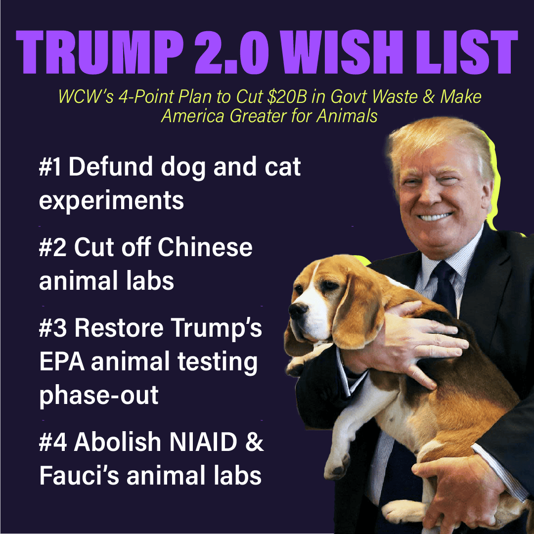 WCW Trump Admin Plan