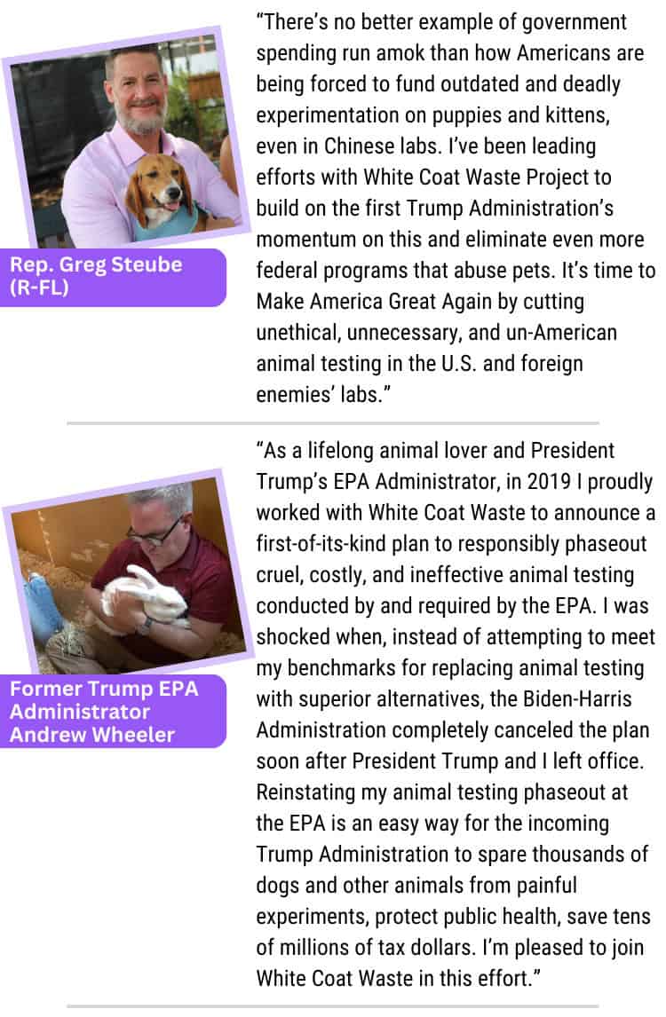 WCW Trump Admin Plan