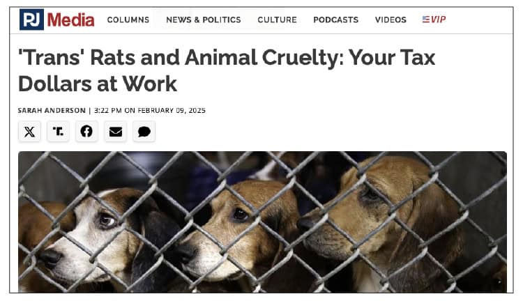 Transgender Animal Experiments