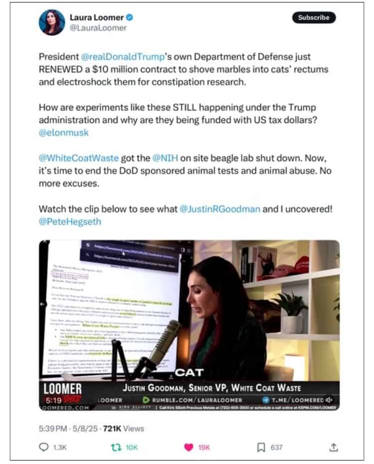 Laura Loomer Tweet 1
