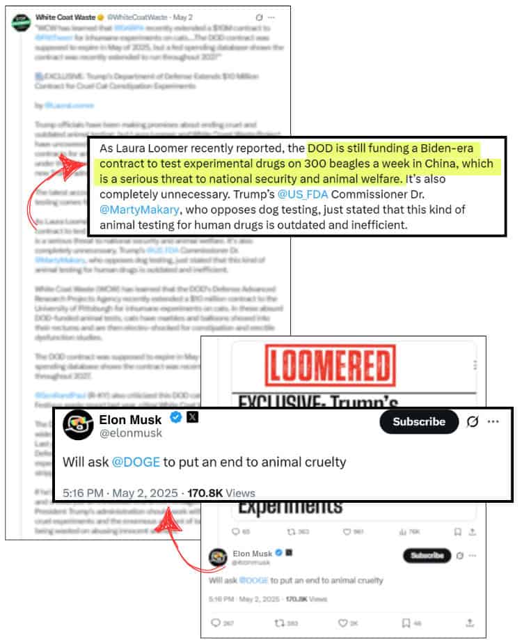 DOD Cancels Beagle Tests