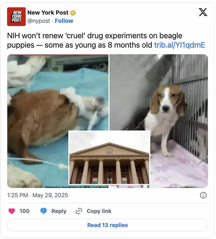 Pentagon Ends Animal Testing