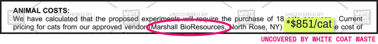 Research document excerpt showing animal costs for 18 cats from Marshall BioResources priced at $851 per cat.