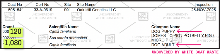 Image of USDA inspection document snippet for Oak Hill Genetics LLC dated November 25, 2025, listing an animal inventory including 120 dog puppies, 1,080 adult dogs, and domestic pigs.