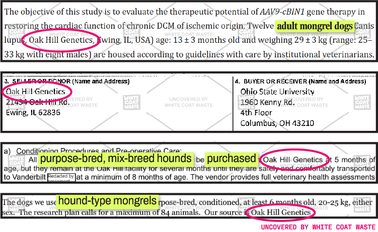 Image of document excerpts showing Oak Hill Genetics listed as a supplier of purpose-bred dogs, mongrels, and hounds to research institutions, including Ohio State University.