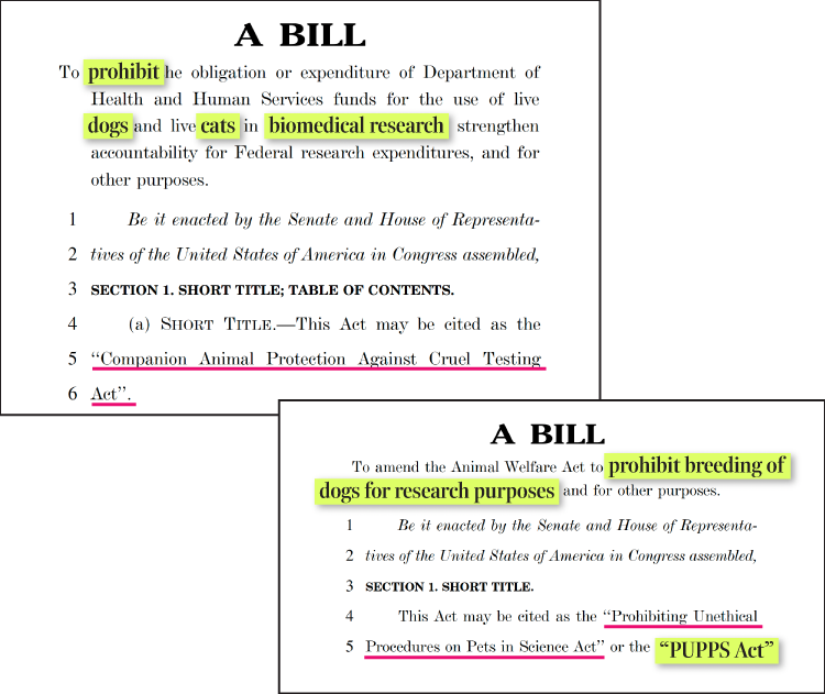 New Federal Bills Target Pet Experimentation and Promote Lab Animal ...