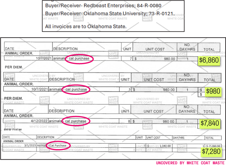 Invoice document listing cat purchase orders for Oklahoma State University, showing order dates, unit counts, unit costs.