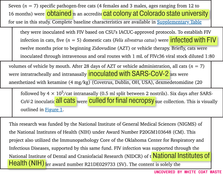 Excerpts from a published study on Colorado State University cat colony research, detailing FIV infection, SARS-CoV-2 inoculation, culling for necropsy, and National Institutes of Health (NIH) grant funding.