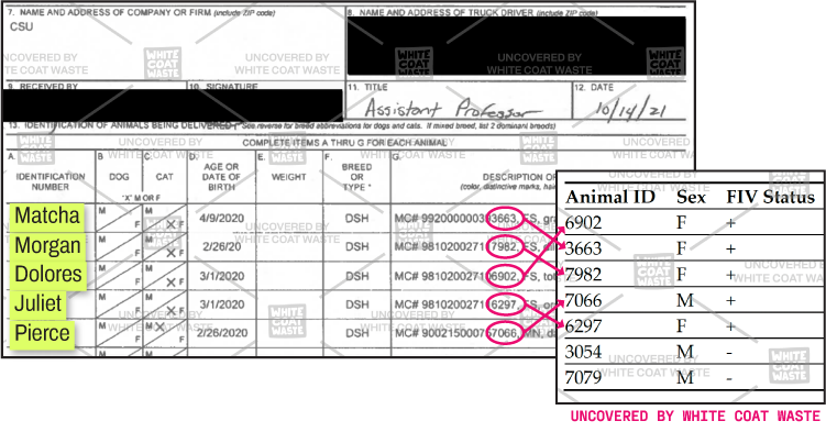 Document showing animal delivery records from CSU alongside an animal tracking table, matching named cats to numeric animal IDs, sex, and FIV positive or negative status.