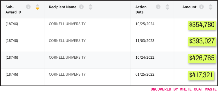 Screenshot of a database table showing four sub-award payments to Cornell University totaling over $1.5 million between 2022 and 2024.